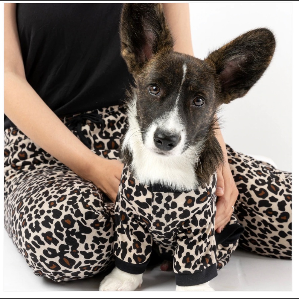 Silver Paws pet and Human set